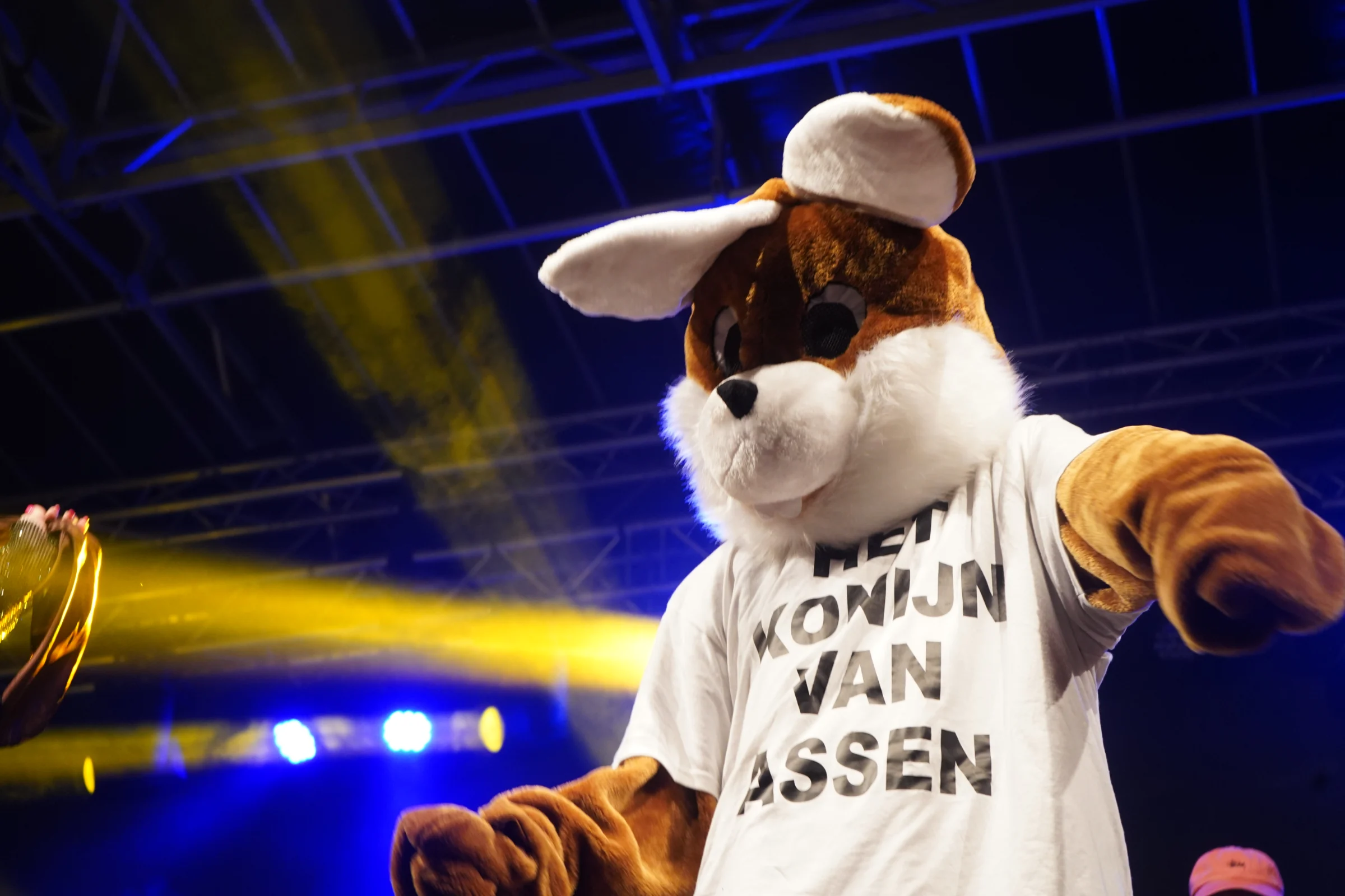Konijn van Assen tijdens TT